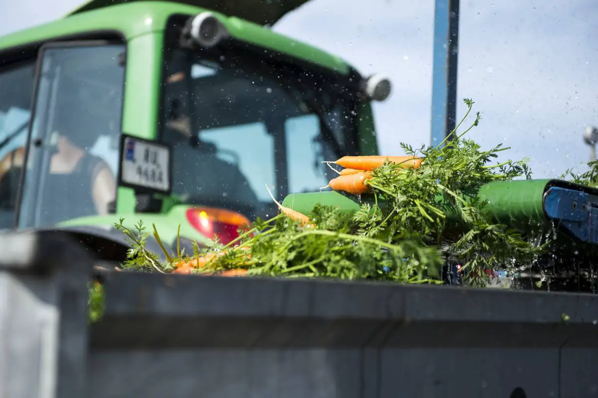 Les agriculteurs craignent une réduction de la production alimentaire en Norvège en raison du manque de travailleurs étrangers - 3