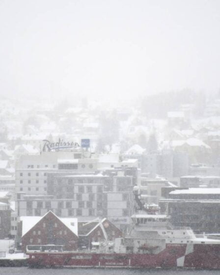 De la neige attendue presque partout en Norvège ce week-end 8 De la neige attendue presque partout en Norvège ce week-end - 7