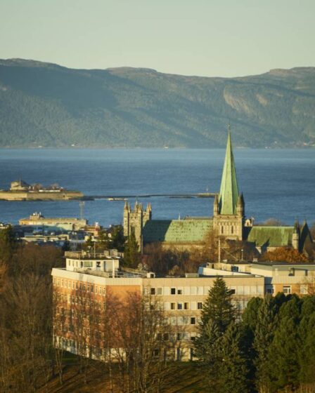 Trondheim: un homme attaque un employé d'un hôtel de quarantaine et est condamné à trois mois de prison - 19