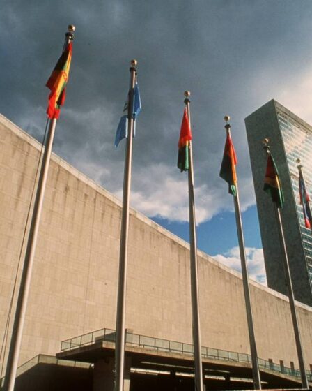 Le drapeau norvégien sera hissé à New York lors de son entrée au Conseil de sécurité de l'ONU - 25