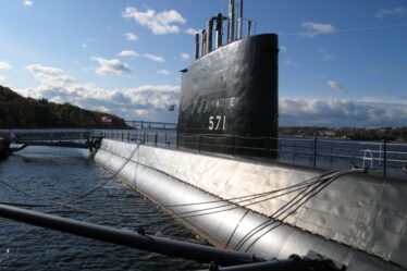 Des chercheurs ont trouvé Nautilus à Byfjorden à Bergen - 20