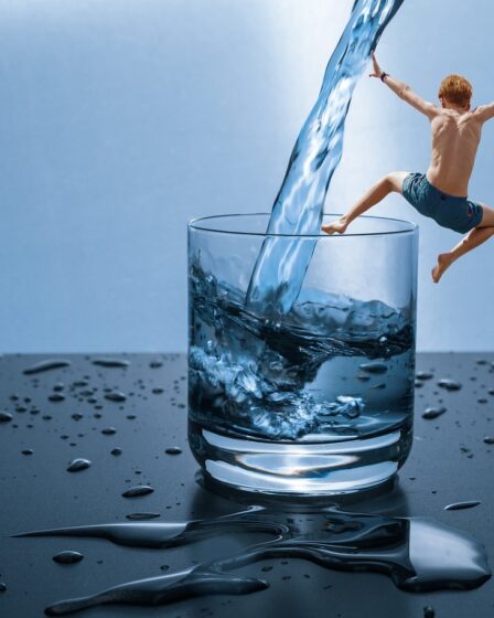 Directive européenne sur l'eau à évaluer 31 Directive européenne sur l'eau à évaluer - 30