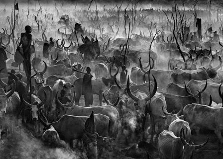 La superstar David Yarrow arrive en Norvège - 22