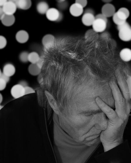 Grandes variantes de l'offre aux jeunes atteints de démence 23 Grandes variantes de l'offre aux jeunes atteints de démence - 22