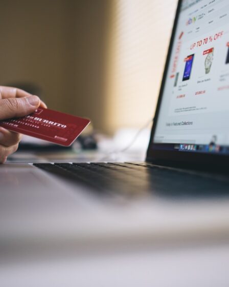 Le commerce électronique est en forte croissance - principalement utilisé pour les voyages - 28
