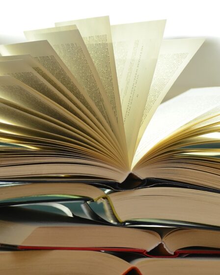 Les ventes de livres continuent de baisser 5 Les ventes de livres continuent de baisser - 4