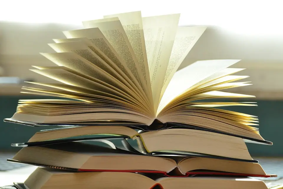 Les enseignants des demandeurs d'asile ne reçoivent pas d'argent pour des livres pour les cours de norvégien 4 Les enseignants des demandeurs d'asile ne reçoivent pas d'argent pour des livres pour les cours de norvégien - 3
