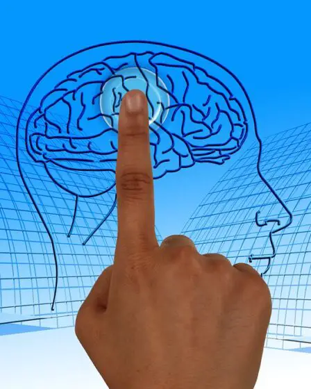 Le cancer du cerveau est plus fréquent chez les personnes hautement scolarisées - 10