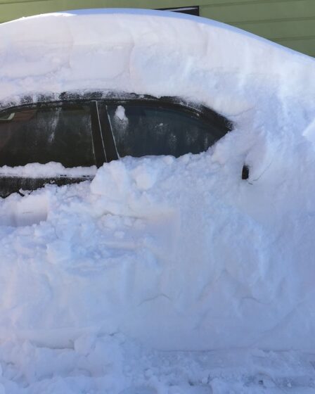 Fatigué de gratter la glace de la voiture? 8 Fatigué de gratter la glace de la voiture? - 7