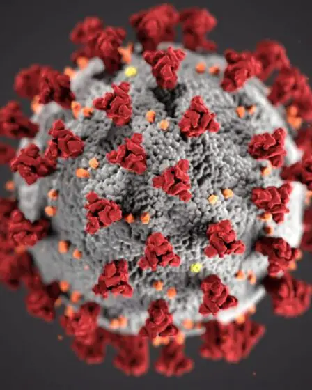FHI : la variante delta du coronavirus a été détectée à Troms og Finnmark pour la première fois 26 FHI : la variante delta du coronavirus a été détectée à Troms og Finnmark pour la première fois - 25