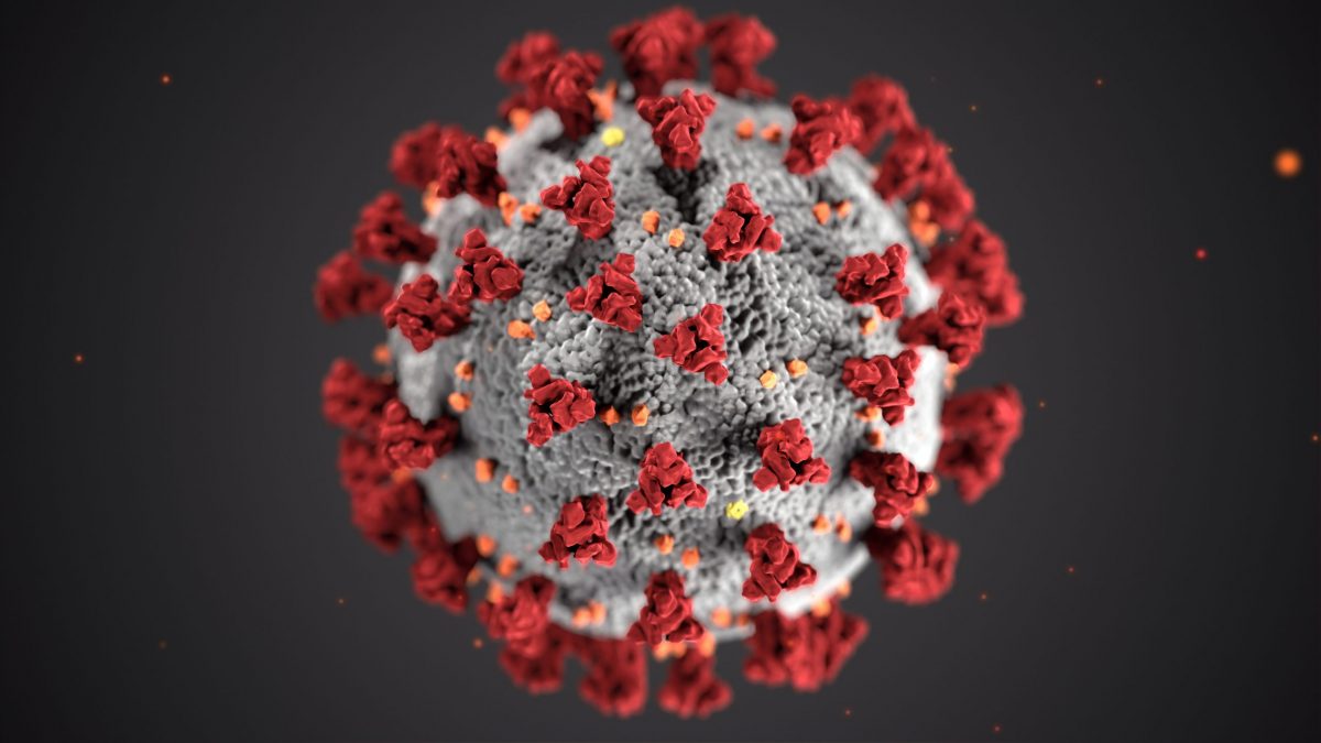 FHI : la variante delta du coronavirus a été détectée à Troms og Finnmark pour la première fois 4 FHI : la variante delta du coronavirus a été détectée à Troms og Finnmark pour la première fois - 3