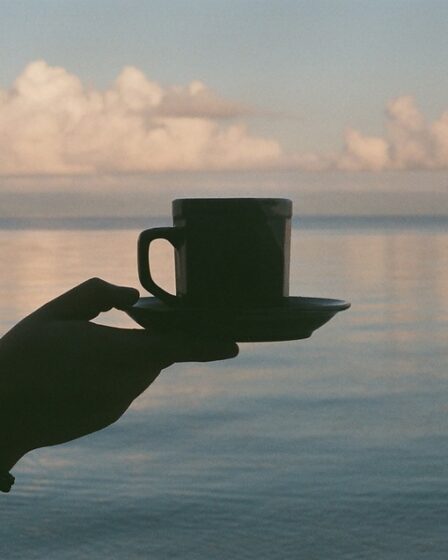 25 tasses de café par jour, c'est bien pour le cœur - 16