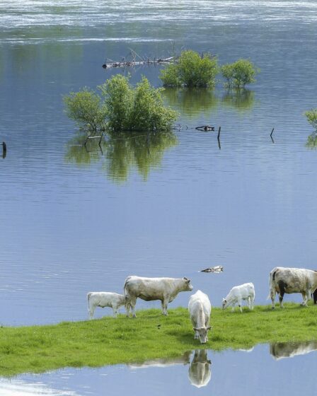 Réclamations de 100 millions de NOK après l'inondation 5 Réclamations de 100 millions de NOK après l'inondation - 4