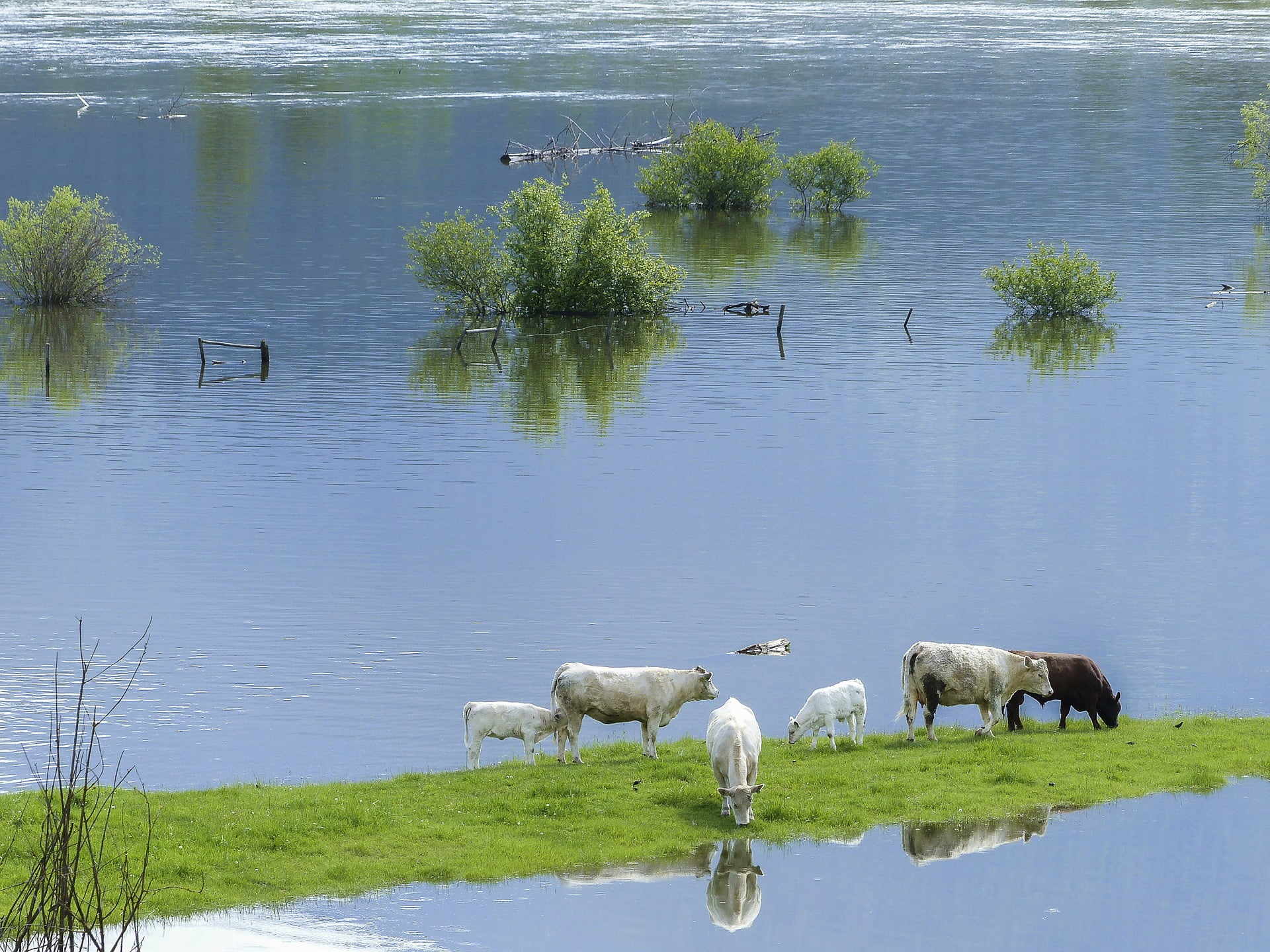 Réclamations de 100 millions de NOK après l'inondation 4 Réclamations de 100 millions de NOK après l'inondation - 3