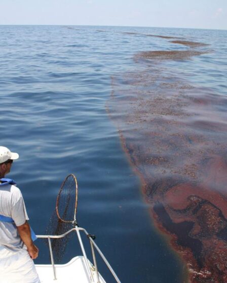 Equinor présente un plan de forage pétrolier à Bight - Norway Today 17 Equinor présente un plan de forage pétrolier à Bight - Norway Today - 16