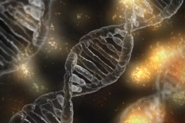 Le Conseil de la biotechnologie (Bioteknologirådet) interdira aux parents de tester le gène de leurs propres enfants - 16