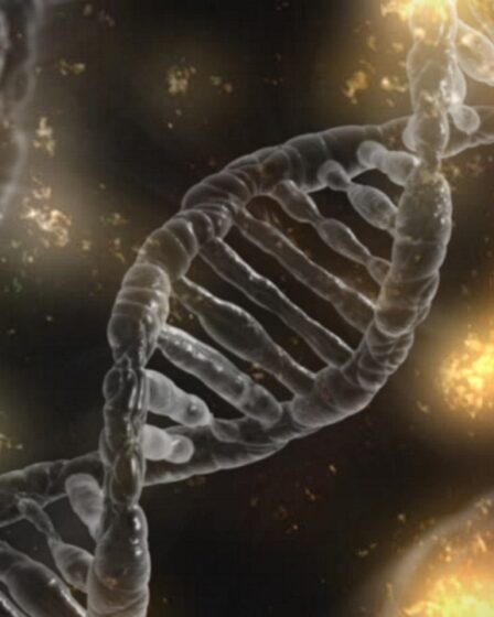 Le Conseil de la biotechnologie (Bioteknologirådet) interdira aux parents de tester le gène de leurs propres enfants 8 Le Conseil de la biotechnologie (Bioteknologirådet) interdira aux parents de tester le gène de leurs propres enfants - 7