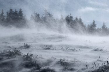 Les premières chutes de neige de l'hiver dans l'est de la Norvège - 18