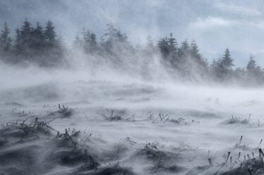 Avertissement de danger pour la neige dans le sud de la Norvège - les automobilistes sont avertis - 20