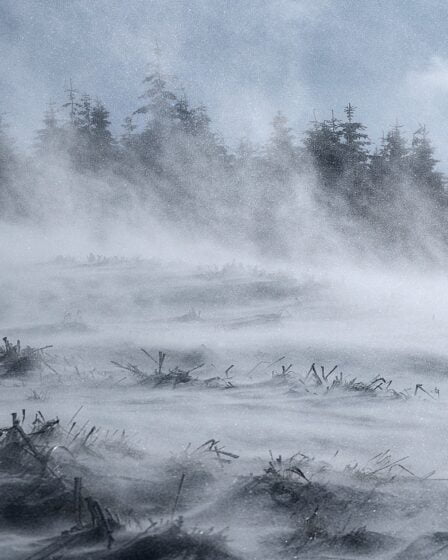 Avertissement de danger pour la neige dans le sud de la Norvège - les automobilistes sont avertis - 16