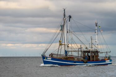 Amélioration de la réglementation pour les femmes pêcheurs - 20
