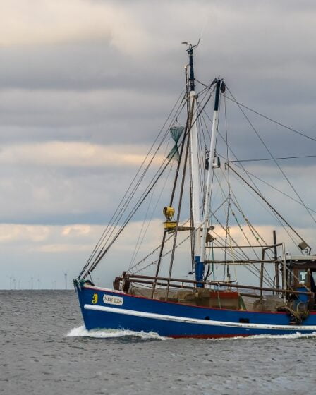 Amélioration de la réglementation pour les femmes pêcheurs 8 Amélioration de la réglementation pour les femmes pêcheurs - 7