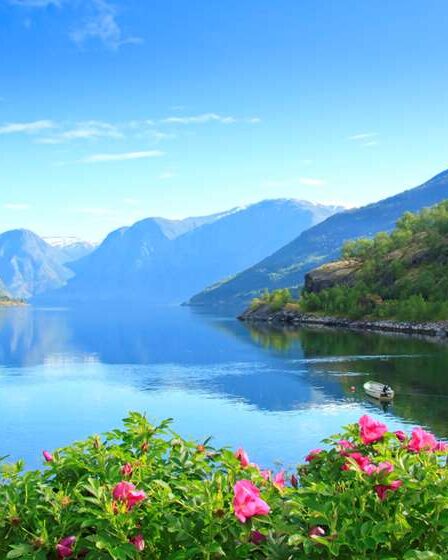 Un groupe de projet égayera Nærøyfjord pour les touristes 11 Un groupe de projet égayera Nærøyfjord pour les touristes - 10