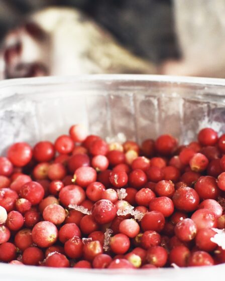 Congélateur plein - pas d'électricité 17 Congélateur plein - pas d'électricité - 16