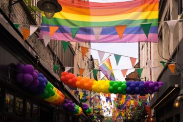 KrF: la «thérapie de conversion» des homosexuels doit rester légale - 16
