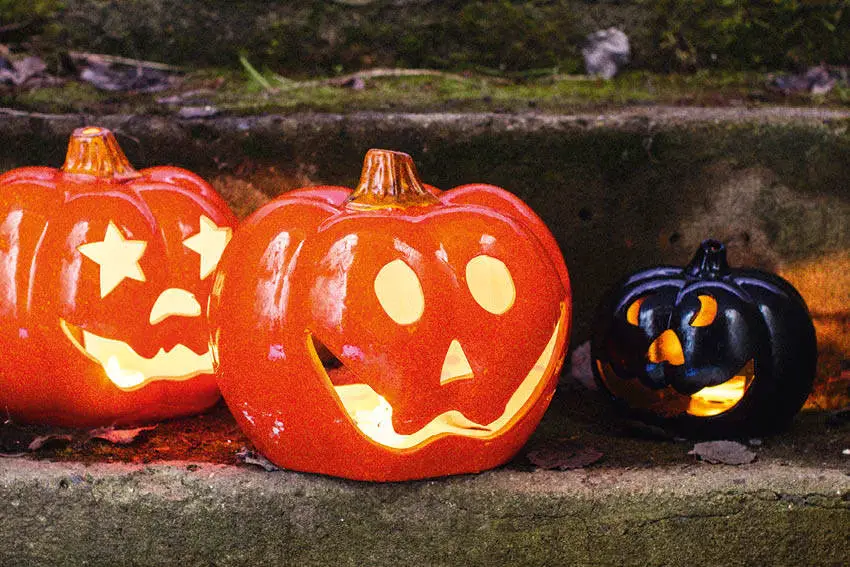 Pourquoi les citrouilles sont le symbole de l'Halloween 4 Pourquoi les citrouilles sont le symbole de l'Halloween - 3