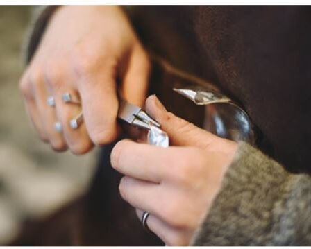Transformation numérique de Norwegian Jewelry - Norway Today 23 Transformation numérique de Norwegian Jewelry - Norway Today - 22