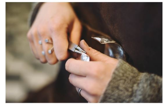 Transformation numérique de Norwegian Jewelry - Norway Today 4 Transformation numérique de Norwegian Jewelry - Norway Today - 3