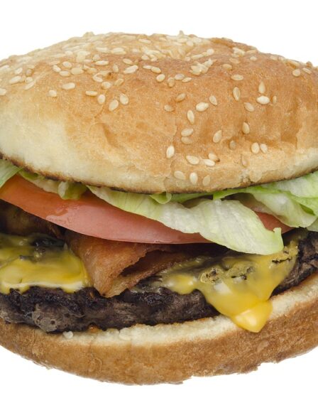 Burger et frites pour enfants à 365 NOK 9 Burger et frites pour enfants à 365 NOK - 8