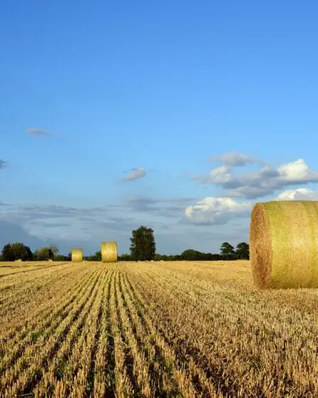 Vendredi, le péage sur l'importation d'aliments est levé 14 Vendredi, le péage sur l'importation d'aliments est levé - 13