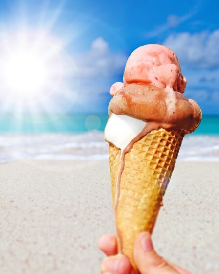 Les gens mangent des producteurs vides de glace 17 Les gens mangent des producteurs vides de glace - 16