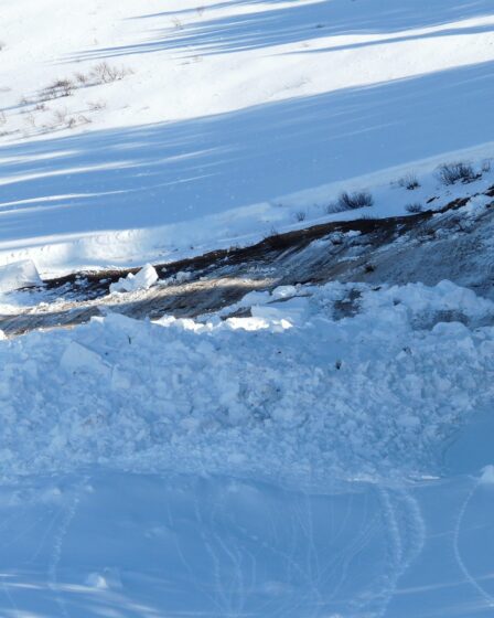 4 Suédois portés disparus dans une zone d'avalanche à Troms 29 4 Suédois portés disparus dans une zone d'avalanche à Troms - 28