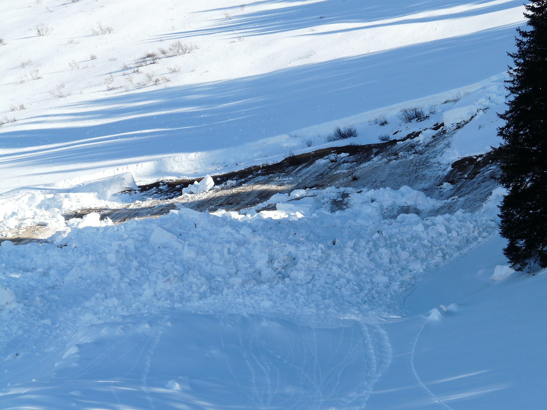 4 Suédois portés disparus dans une zone d'avalanche à Troms 6 4 Suédois portés disparus dans une zone d'avalanche à Troms - 5