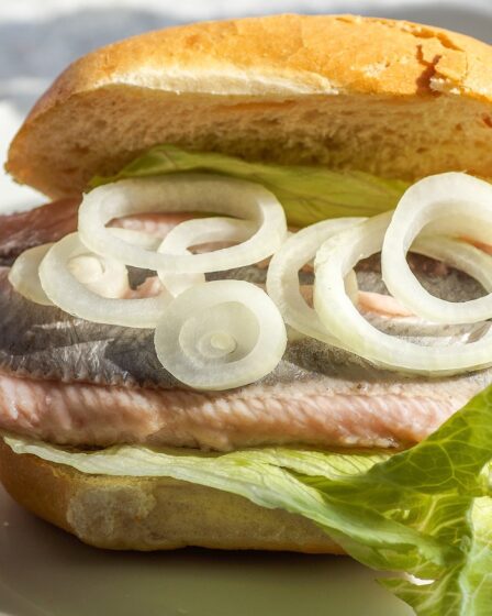 Les Allemands qui aiment la viande nous battent au hareng 8 Les Allemands qui aiment la viande nous battent au hareng - 7