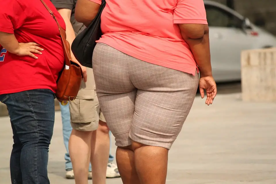 Une nouvelle étude rejette le concept «sain mais gras» - 3