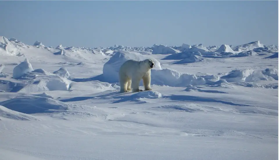 Mesures pour inciter les Norvégiens à s'installer au Svalbard 4 Mesures pour inciter les Norvégiens à s'installer au Svalbard - 3