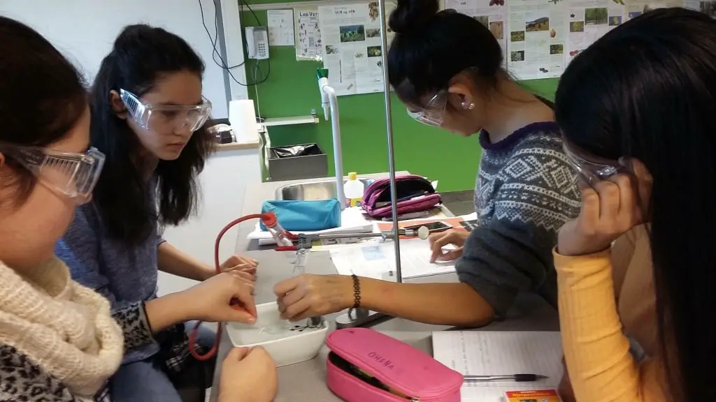 Désir de plus de municipalités scientifiques 4 Désir de plus de municipalités scientifiques - 3