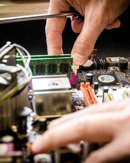 Les diplômes professionnels sont plus recherchés après les diplômes Mssters 2 Les diplômes professionnels sont plus recherchés après les diplômes Mssters - 1