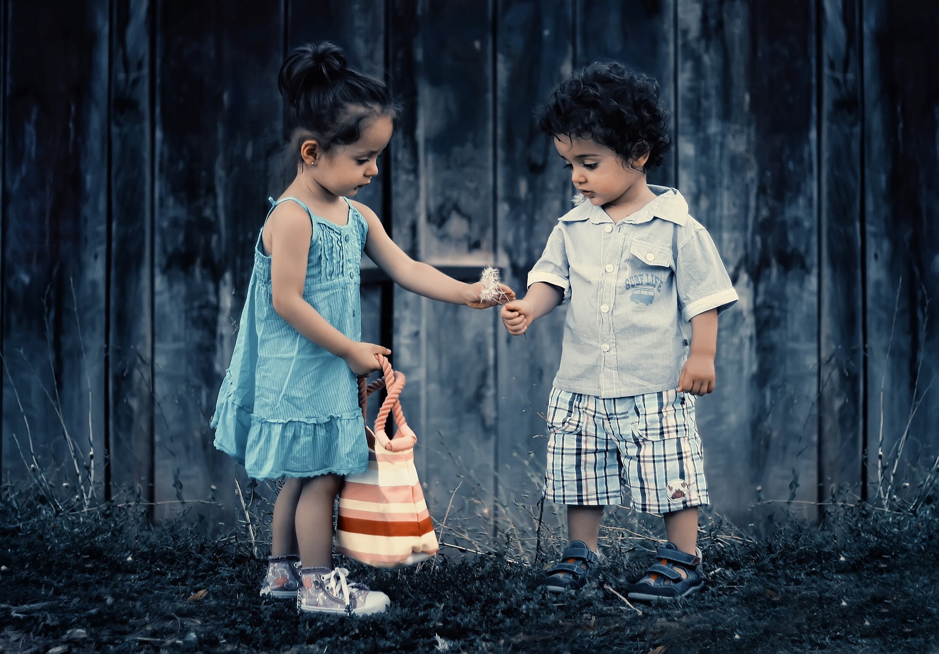 50000 enfants sans joie des allocations familiales 4 50000 enfants sans joie des allocations familiales - 3