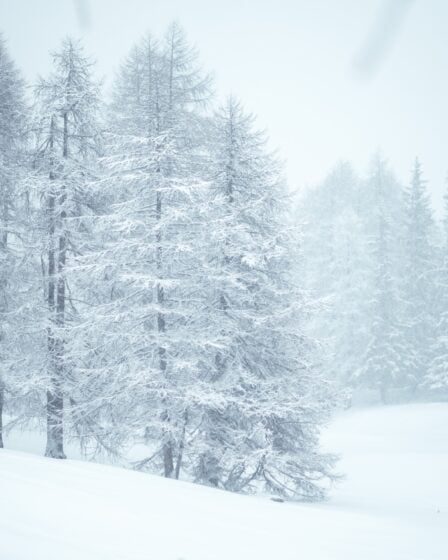 Pourquoi la Norvège est le pays le plus froid d'Europe 26 Pourquoi la Norvège est le pays le plus froid d'Europe - 25