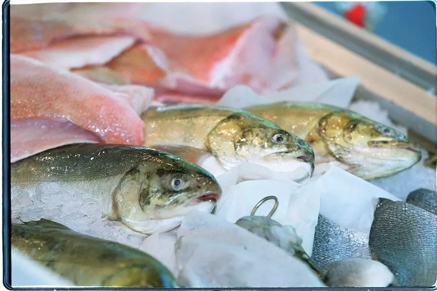 Les exportations norvégiennes de produits de la mer augmentent de 13 % en mai 4 Les exportations norvégiennes de produits de la mer augmentent de 13 % en mai - 3