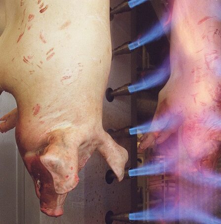 Norvège 2017 Viande @ 351 300 tonnes 11 Norvège 2017 Viande @ 351 300 tonnes - 10