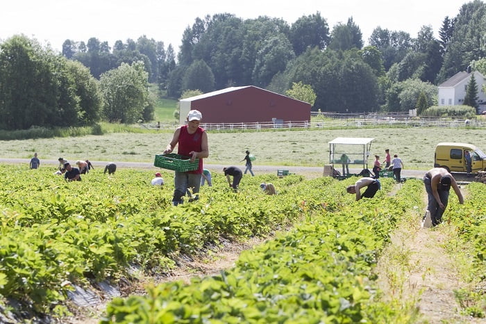 L'Inspection du travail alerte les agriculteurs et les producteurs 4 L'Inspection du travail alerte les agriculteurs et les producteurs - 3