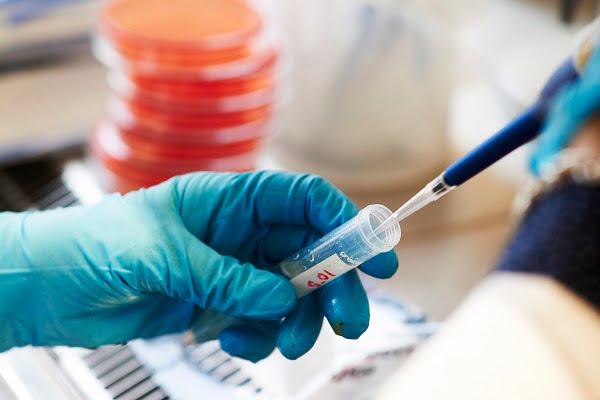 Épidémie de salmonelle dans dix comtés 4 Épidémie de salmonelle dans dix comtés - 3