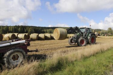Tous les travailleurs saisonniers étrangers du secteur agricole sont autorisés à rentrer en Norvège - 20