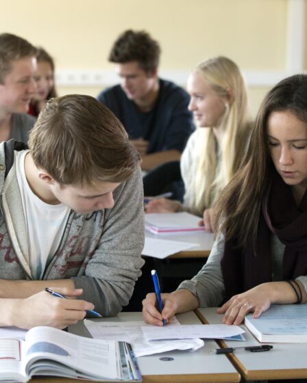 Plusieurs classes scolaires de plus de 30 élèves 8 Plusieurs classes scolaires de plus de 30 élèves - 7